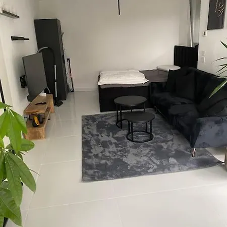 Stilvolle 1-zimmer Mit Terasse Nahe Therme Und Prezero Arena Sinsheim